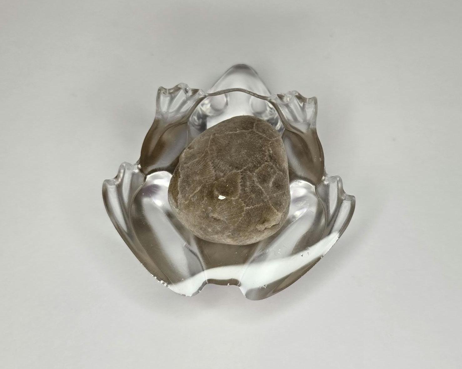 Petoskey Stone Frog Figurine, Resin Frog Sculpture, Great Lakes Rocks Gift, Gift for Rock Hunter, Gift for Frog Lovers