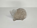 Petoskey Stone Porcupine Figurine, Petoskey Stone Hedgehog Sculpture, Great Lakes Rocks Gift, Hedgehog Gift, Gift for Hedgehog Lover