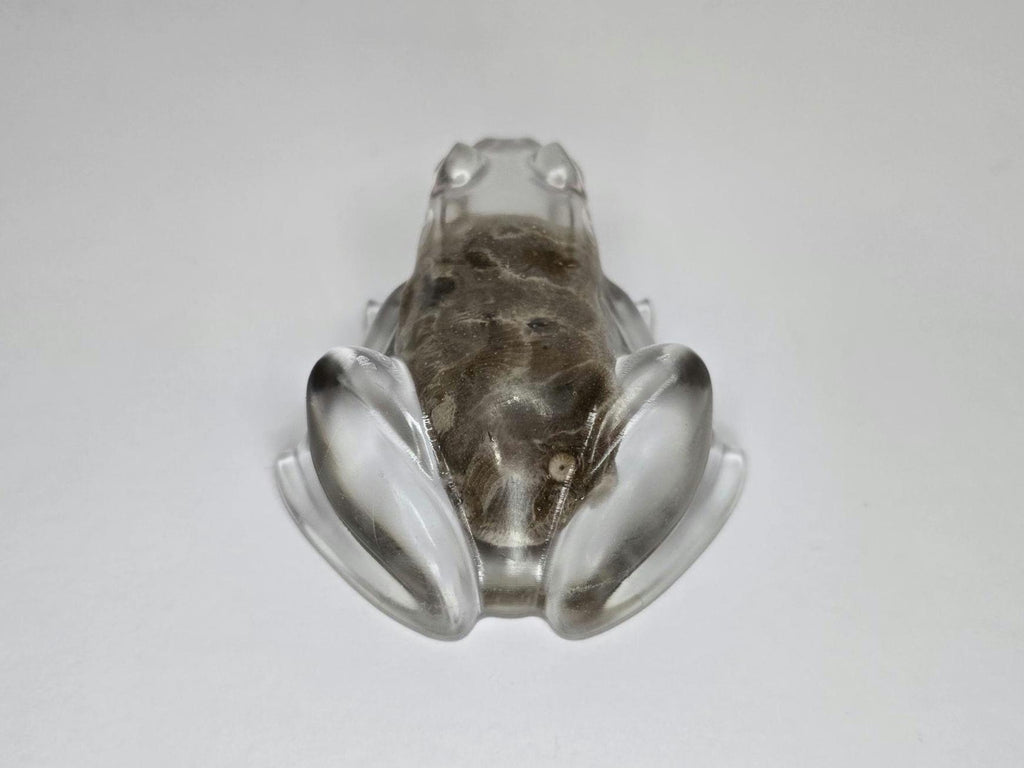 Petoskey Stone Frog Figurine, Resin Frog Sculpture, Great Lakes Rocks Gift, Gift for Rock Hunter, Gift for Frog Lovers