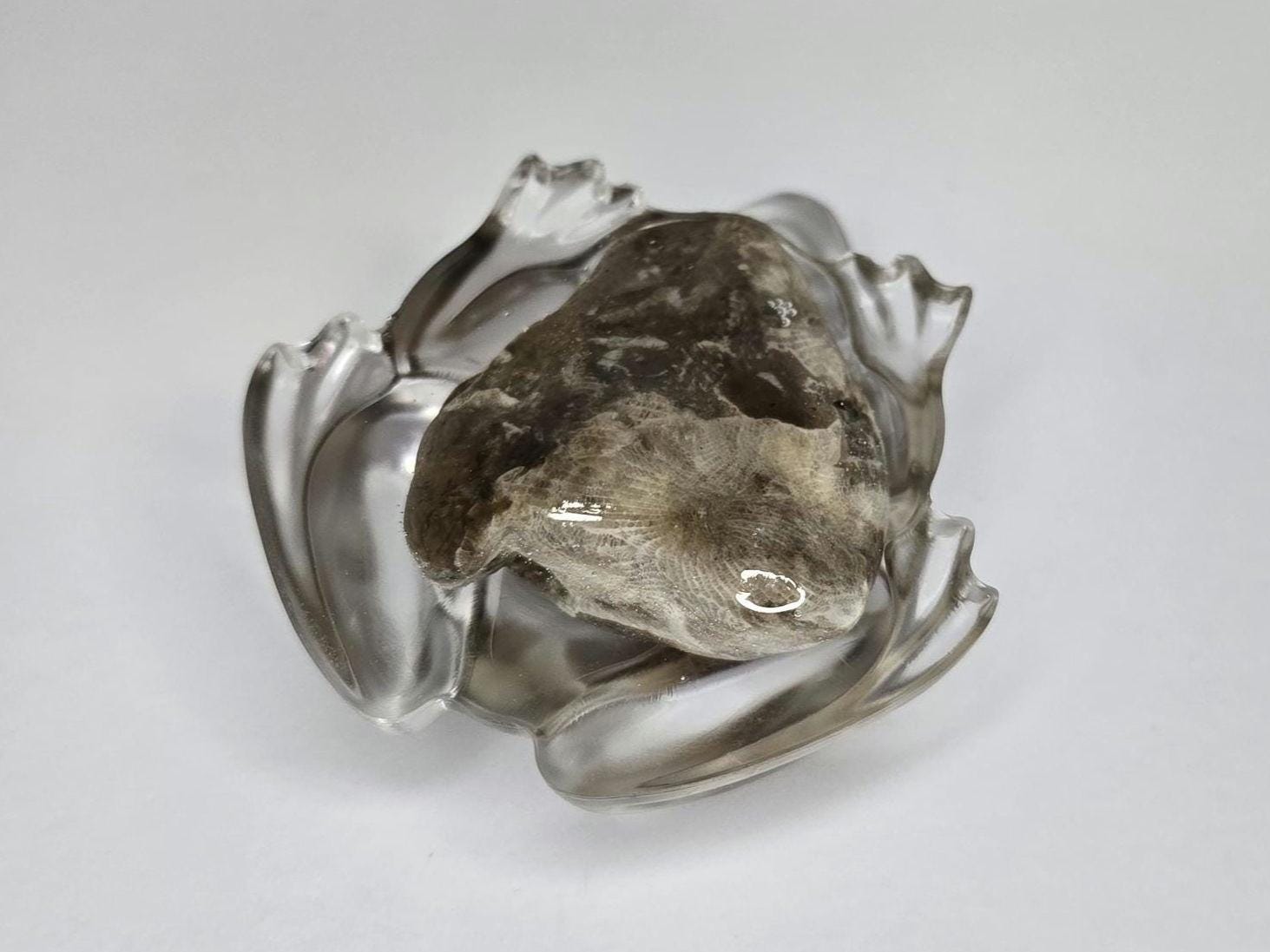 Petoskey Stone Frog Figurine, Resin Frog Sculpture, Great Lakes Rocks Gift, Gift for Rock Hunter, Gift for Frog Lovers