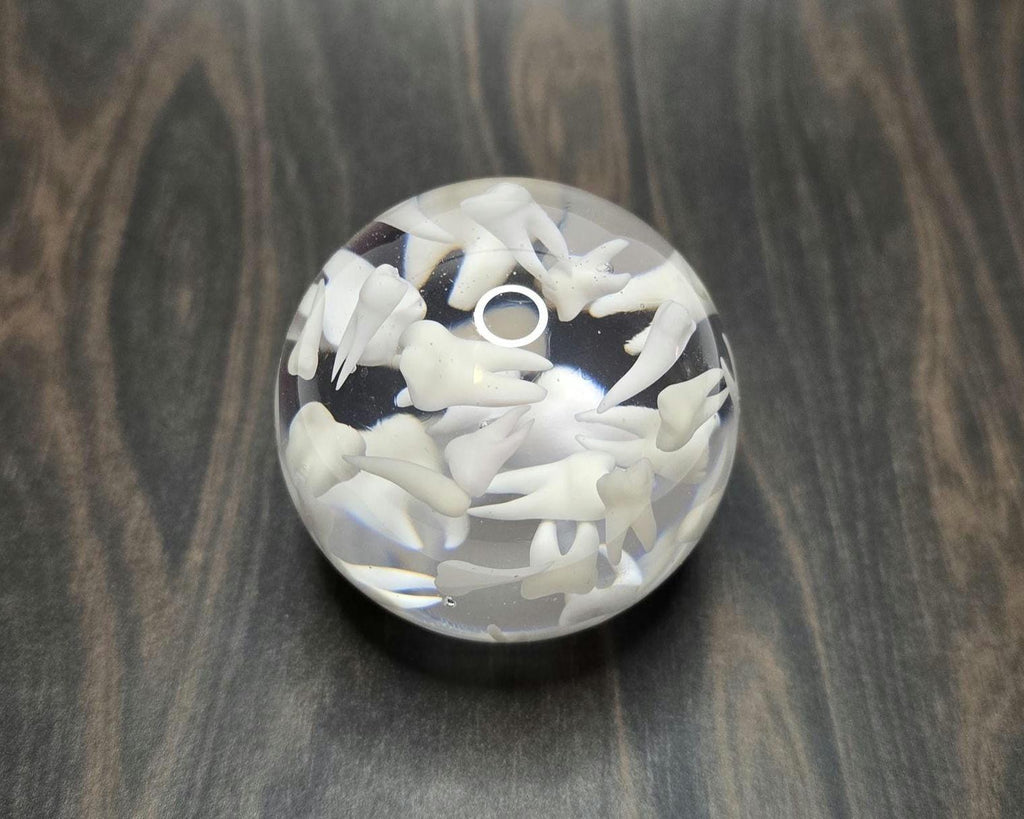 Tooth Paperweight Sphere, Gift for Dentists, Gift for Dental Professionals