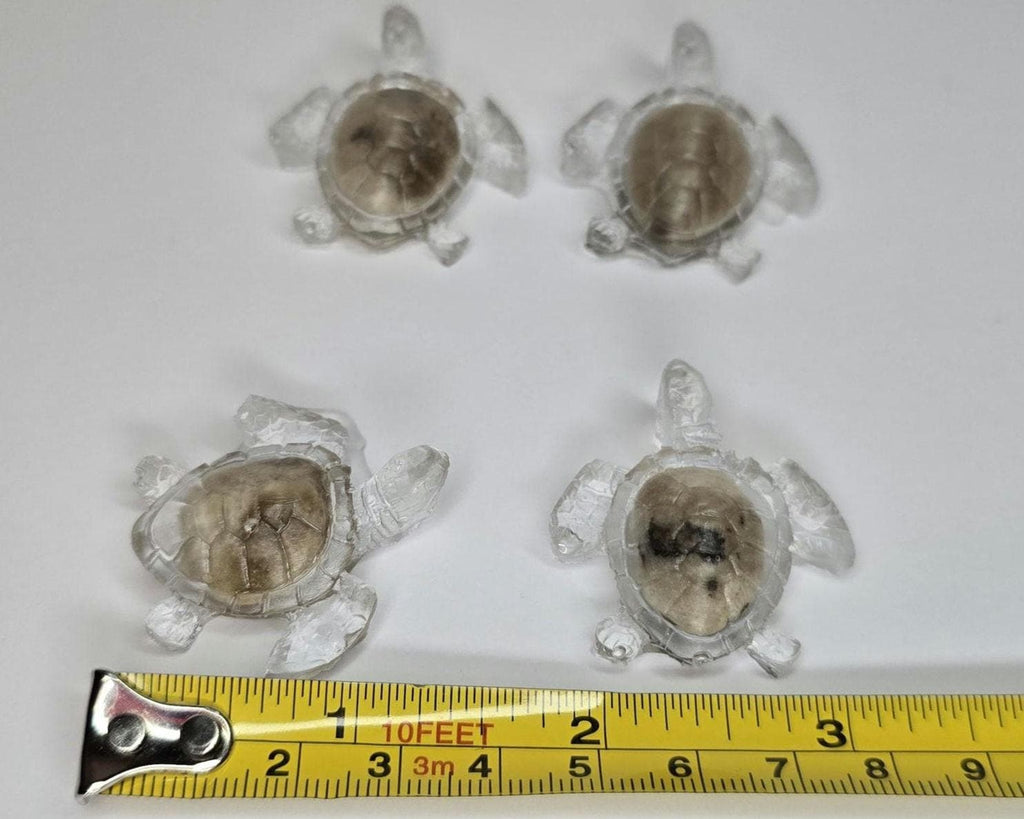 Minin Petoskey Stone Turtle Figurines, Tiny Sea Turtle Rock Sculptures, Great Lakes Rocks Gift, Gifts for Rock Hunter, Gift for Turtle Lover