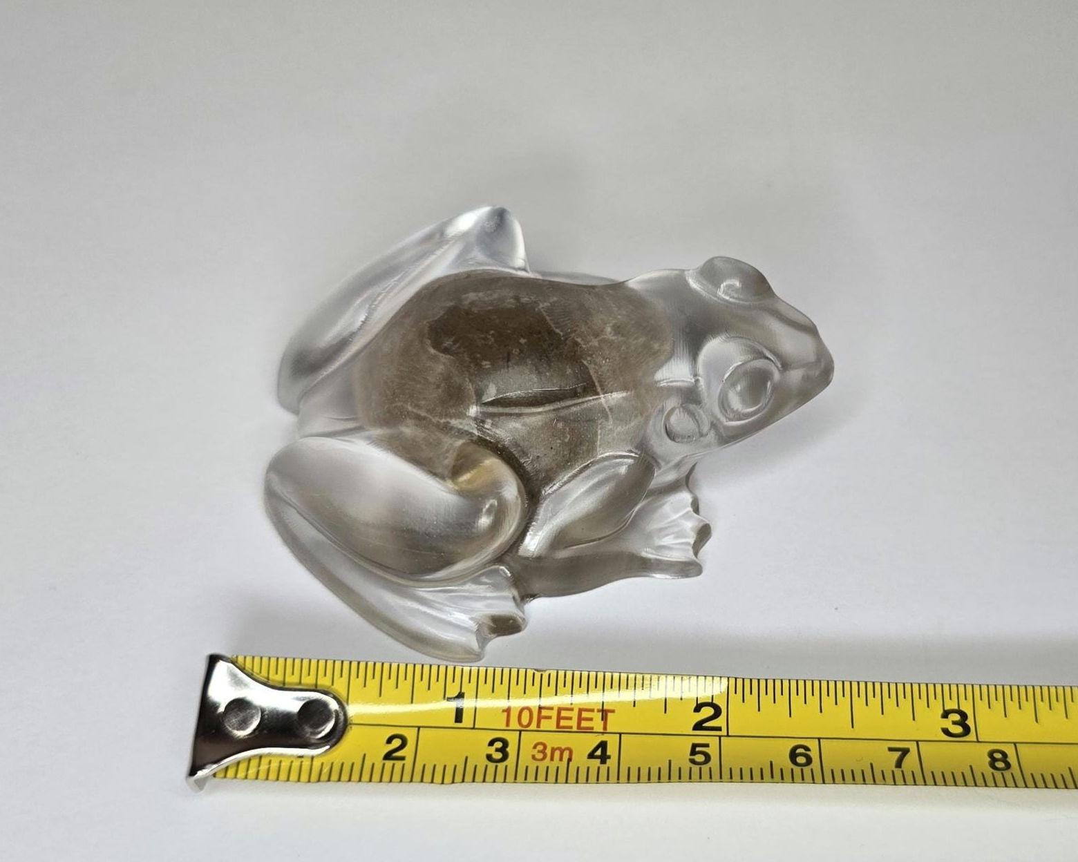 Petoskey Stone Frog Figurine, Resin Frog Sculpture, Great Lakes Rocks Gift, Gift for Rock Hunter, Gift for Frog Lovers