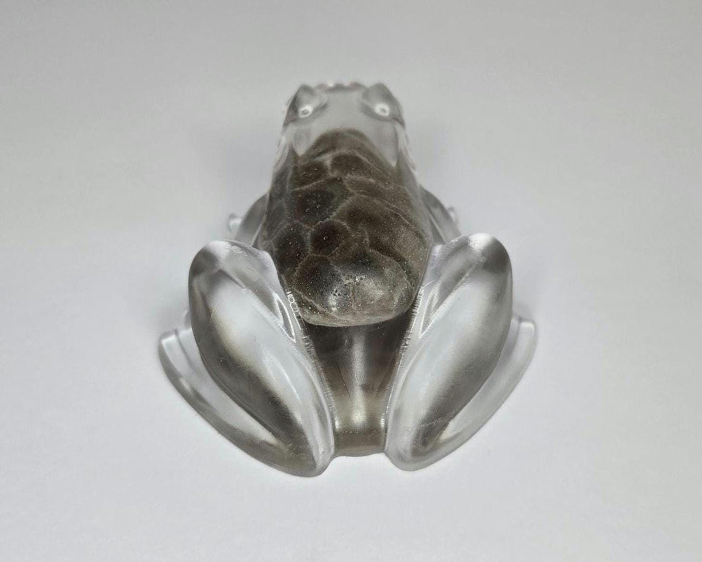 Petoskey Stone Frog Figurine, Resin Frog Sculpture, Great Lakes Rocks Gift, Gift for Rock Hunter, Gift for Frog Lovers
