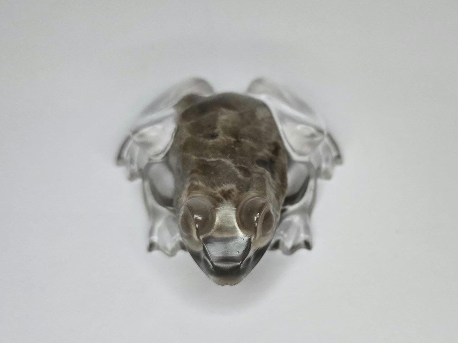 Petoskey Stone Frog Figurine, Resin Frog Sculpture, Great Lakes Rocks Gift, Gift for Rock Hunter, Gift for Frog Lovers