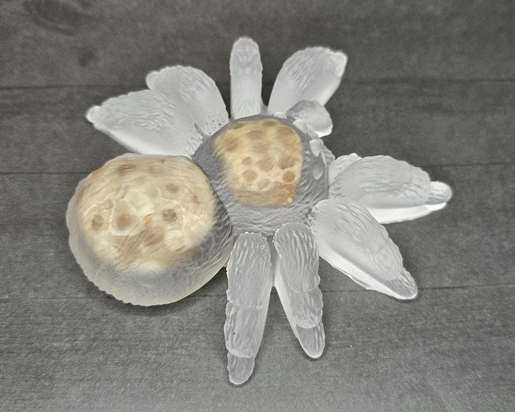 Petoskey Stone Spider Figurine, Tarantula Spider Sculpture, Great Lakes Rocks Gift, Gifts for Rock Hunter, Gift for Spider Lover