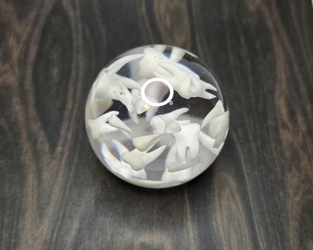 Tooth Paperweight Sphere, Gift for Dentists, Gift for Dental Professionals