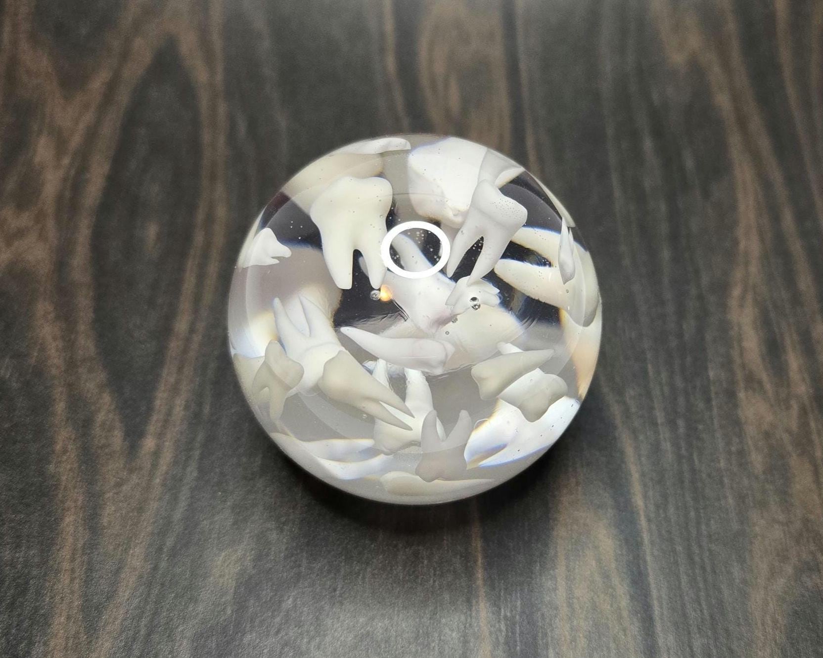 Tooth Paperweight Sphere, Gift for Dentists, Gift for Dental Professionals