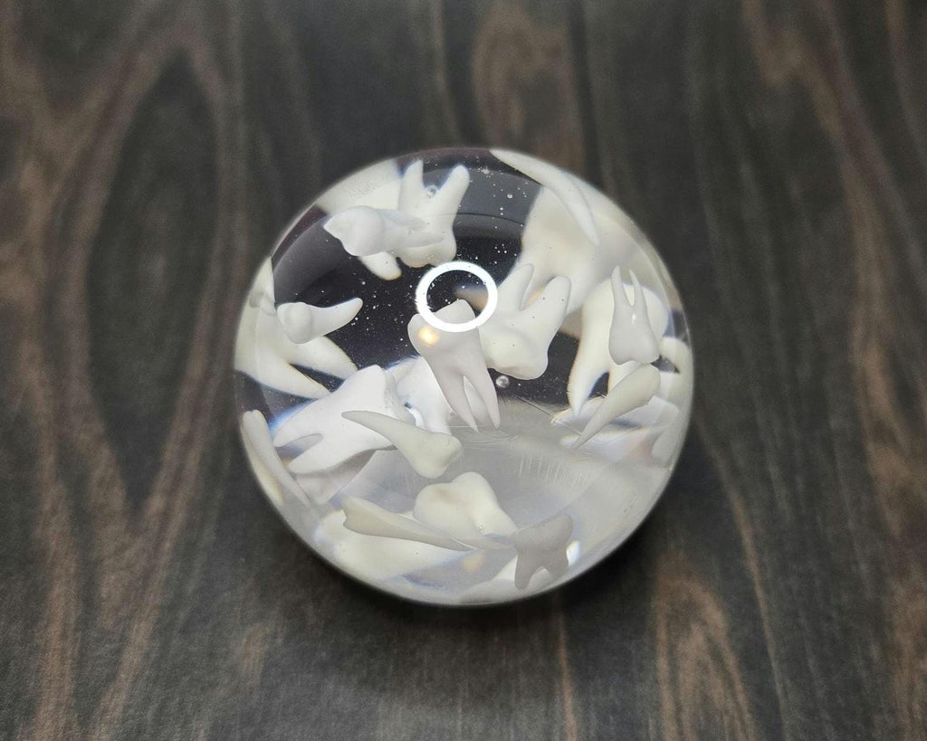 Tooth Paperweight Sphere, Gift for Dentists, Gift for Dental Professionals