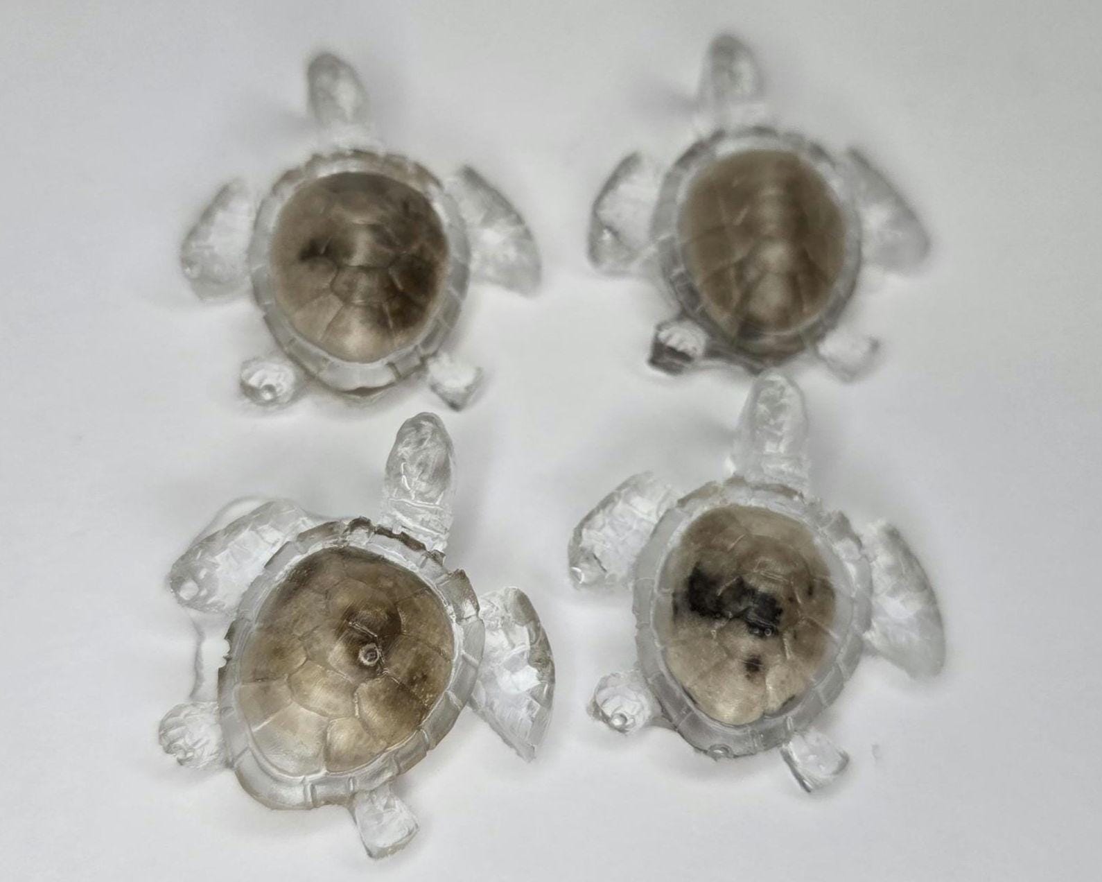 Minin Petoskey Stone Turtle Figurines, Tiny Sea Turtle Rock Sculptures, Great Lakes Rocks Gift, Gifts for Rock Hunter, Gift for Turtle Lover