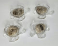 Minin Petoskey Stone Turtle Figurines, Tiny Sea Turtle Rock Sculptures, Great Lakes Rocks Gift, Gifts for Rock Hunter, Gift for Turtle Lover