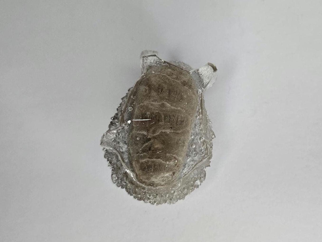 Petoskey Stone Porcupine Figurine, Petoskey Stone Hedgehog Sculpture, Great Lakes Rocks Gift, Hedgehog Gift, Gift for Hedgehog Lover