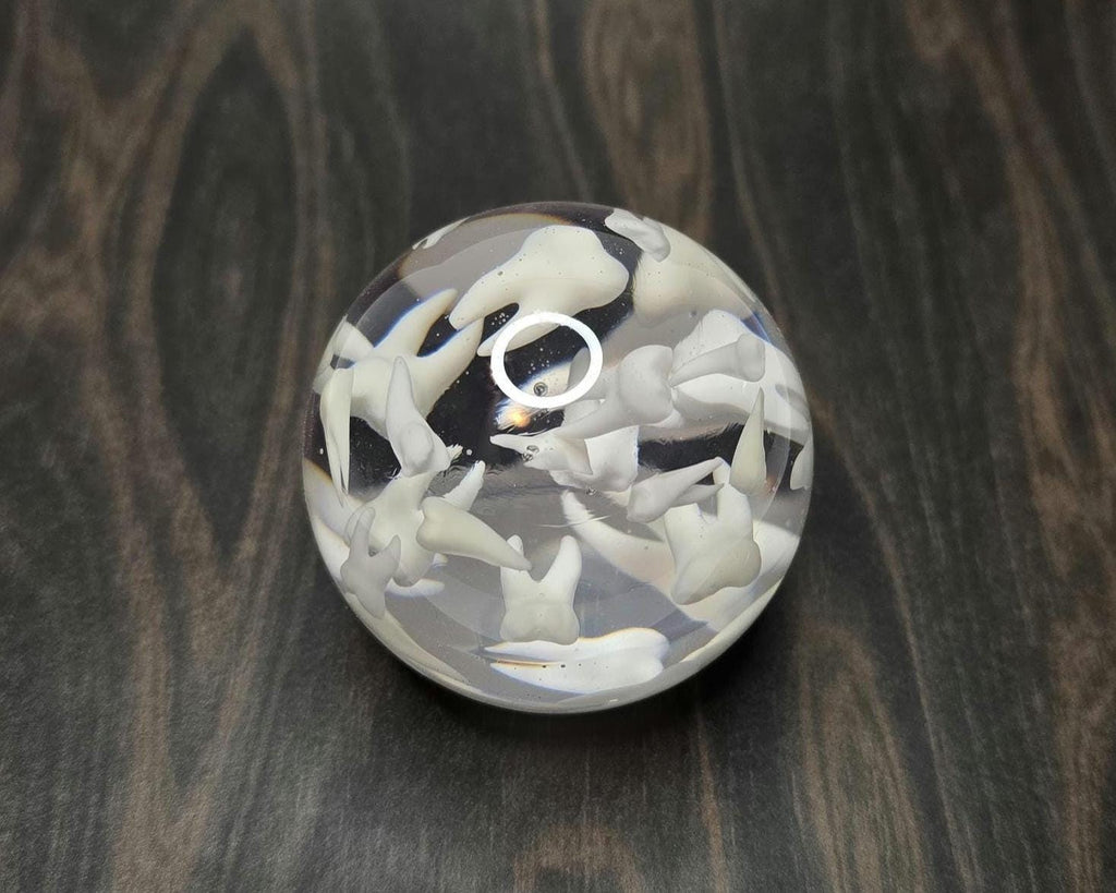 Tooth Paperweight Sphere, Gift for Dentists, Gift for Dental Professionals