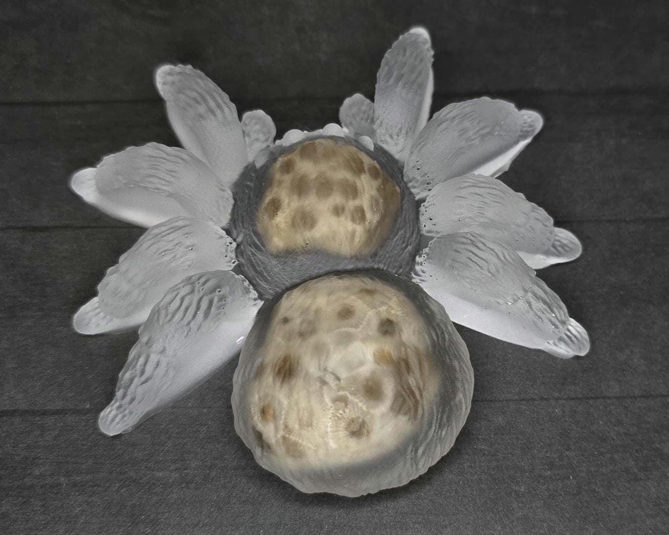 Petoskey Stone Spider Figurine, Tarantula Spider Sculpture, Great Lakes Rocks Gift, Gifts for Rock Hunter, Gift for Spider Lover