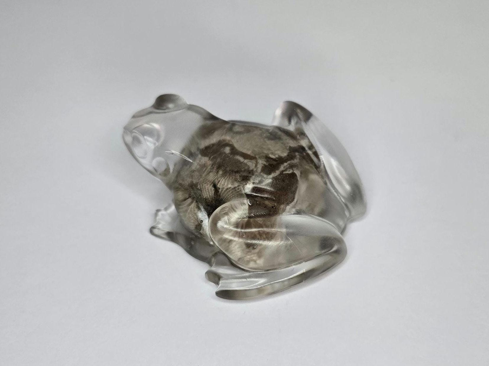 Petoskey Stone Frog Figurine, Resin Frog Sculpture, Great Lakes Rocks Gift, Gift for Rock Hunter, Gift for Frog Lovers
