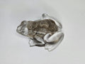Petoskey Stone Frog Figurine, Resin Frog Sculpture, Great Lakes Rocks Gift, Gift for Rock Hunter, Gift for Frog Lovers