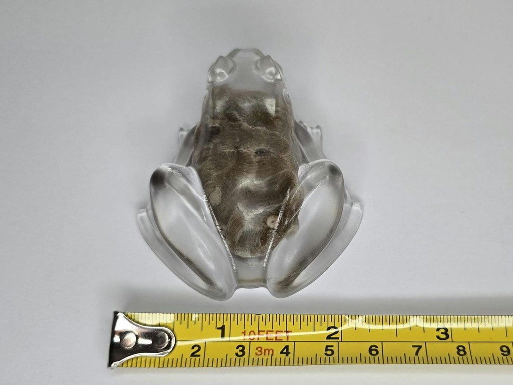 Petoskey Stone Frog Figurine, Resin Frog Sculpture, Great Lakes Rocks Gift, Gift for Rock Hunter, Gift for Frog Lovers