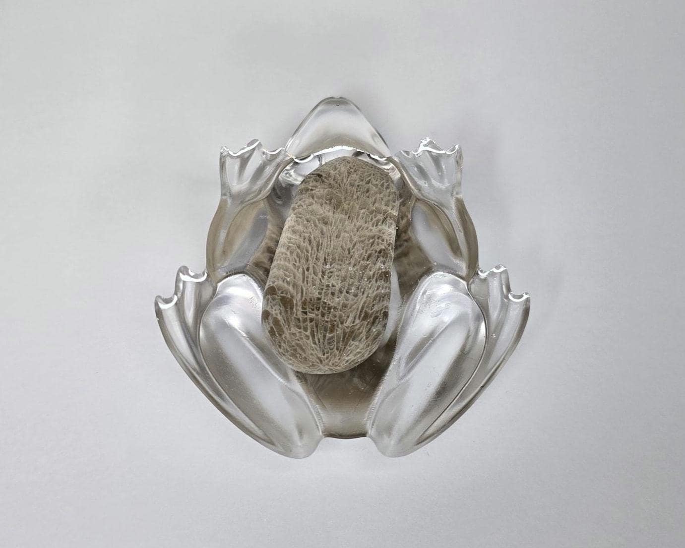 Petoskey Stone Frog Figurine, Resin Frog Sculpture, Great Lakes Rocks Gift, Gift for Rock Hunter, Gift for Frog Lovers