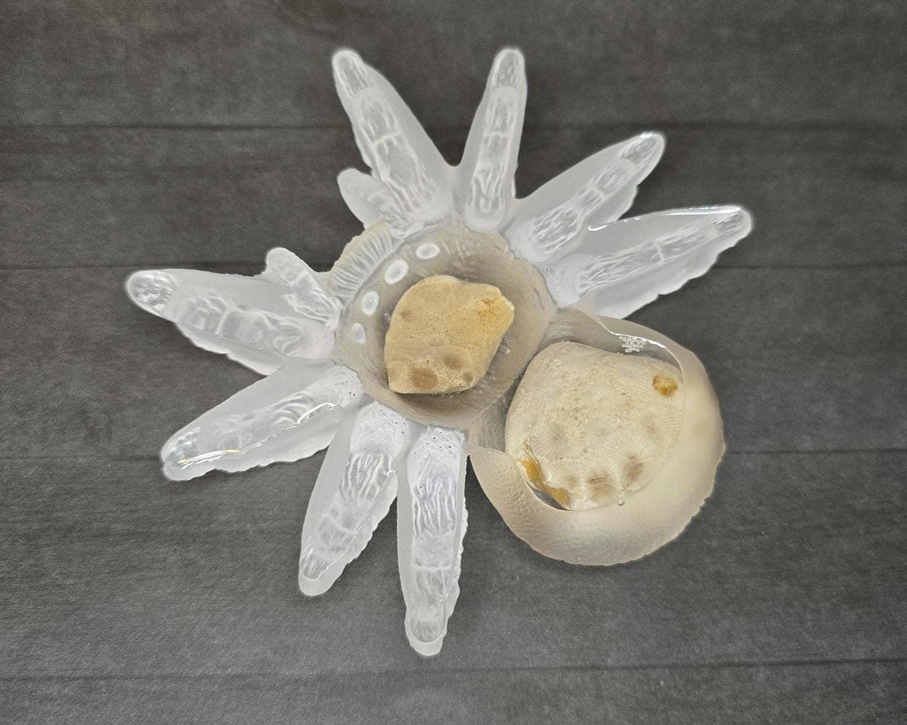 Petoskey Stone Spider Figurine, Tarantula Spider Sculpture, Great Lakes Rocks Gift, Gifts for Rock Hunter, Gift for Spider Lover