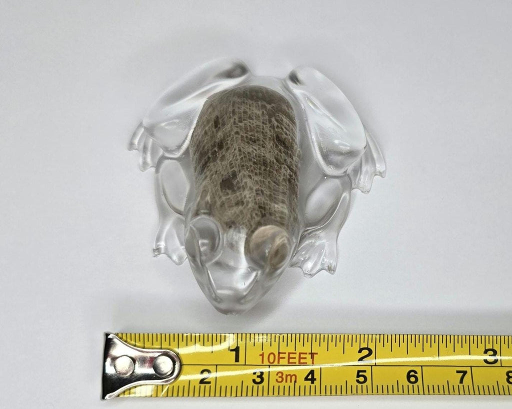 Petoskey Stone Frog Figurine, Resin Frog Sculpture, Great Lakes Rocks Gift, Gift for Rock Hunter, Gift for Frog Lovers