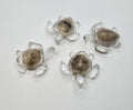 4 tiny Petoskey stone sea turtles
