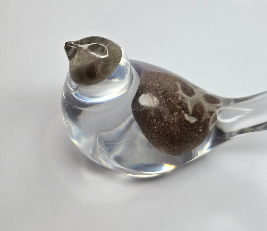 Bird with Petoskey stones