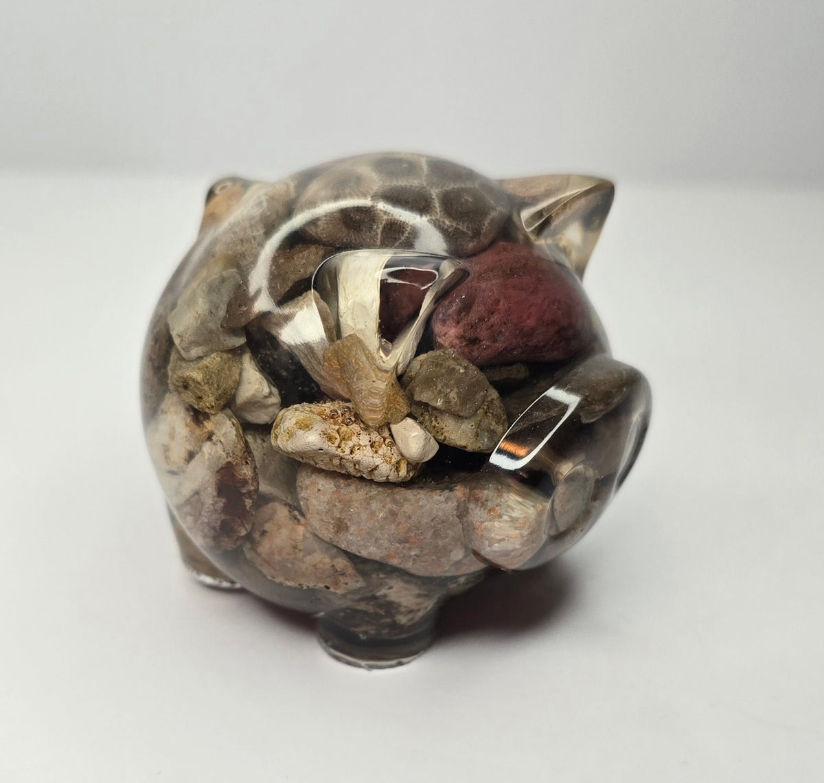 Rock collection PIG with Petoskey stone