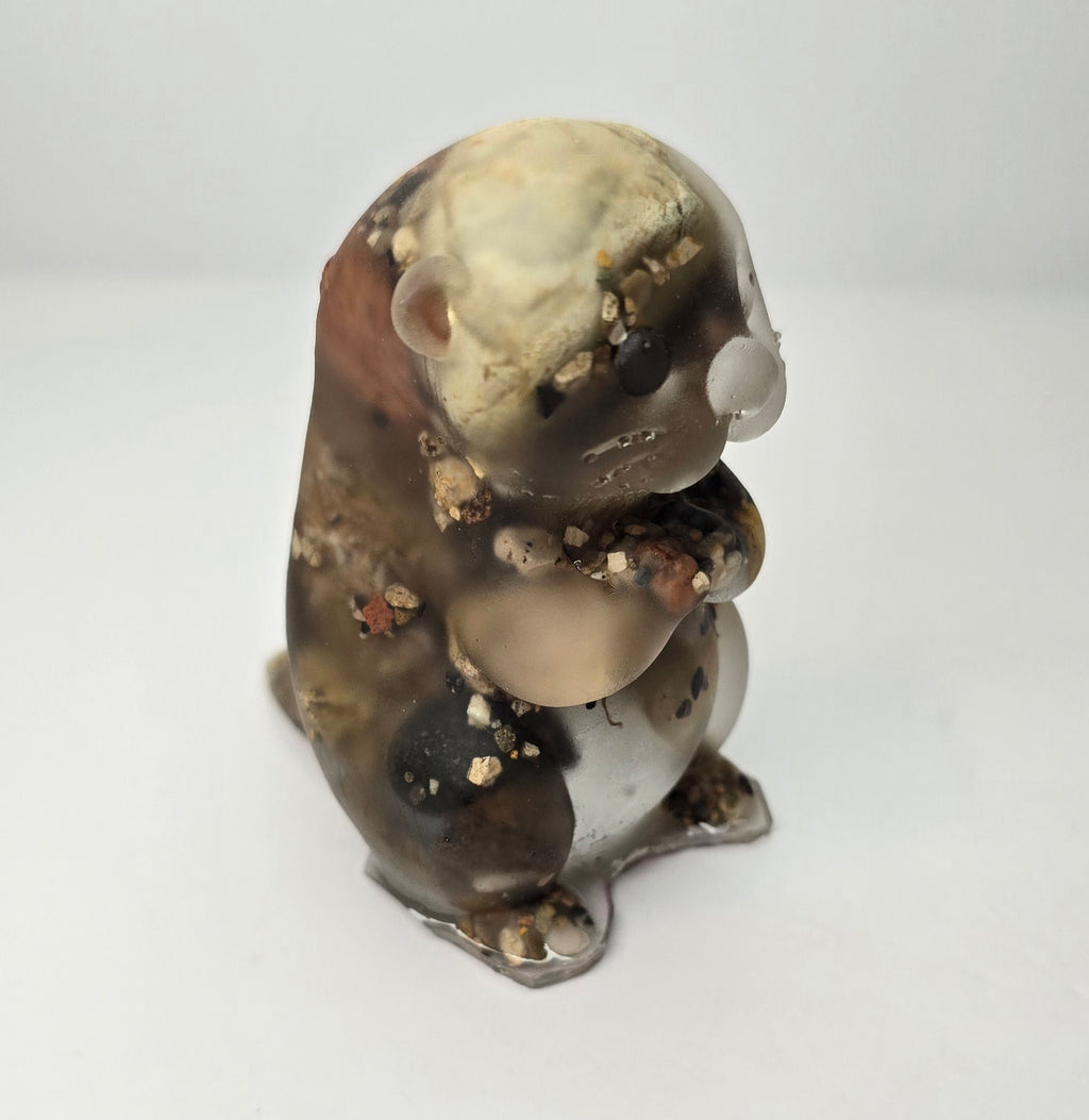 Rock collection otter