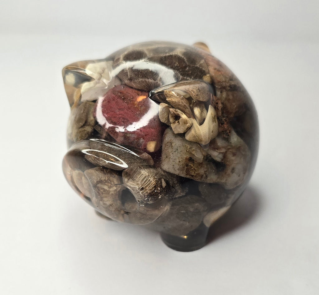 Rock collection PIG with Petoskey stone