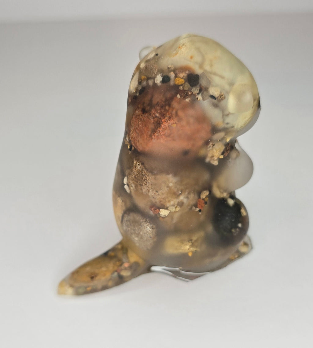 Rock collection otter