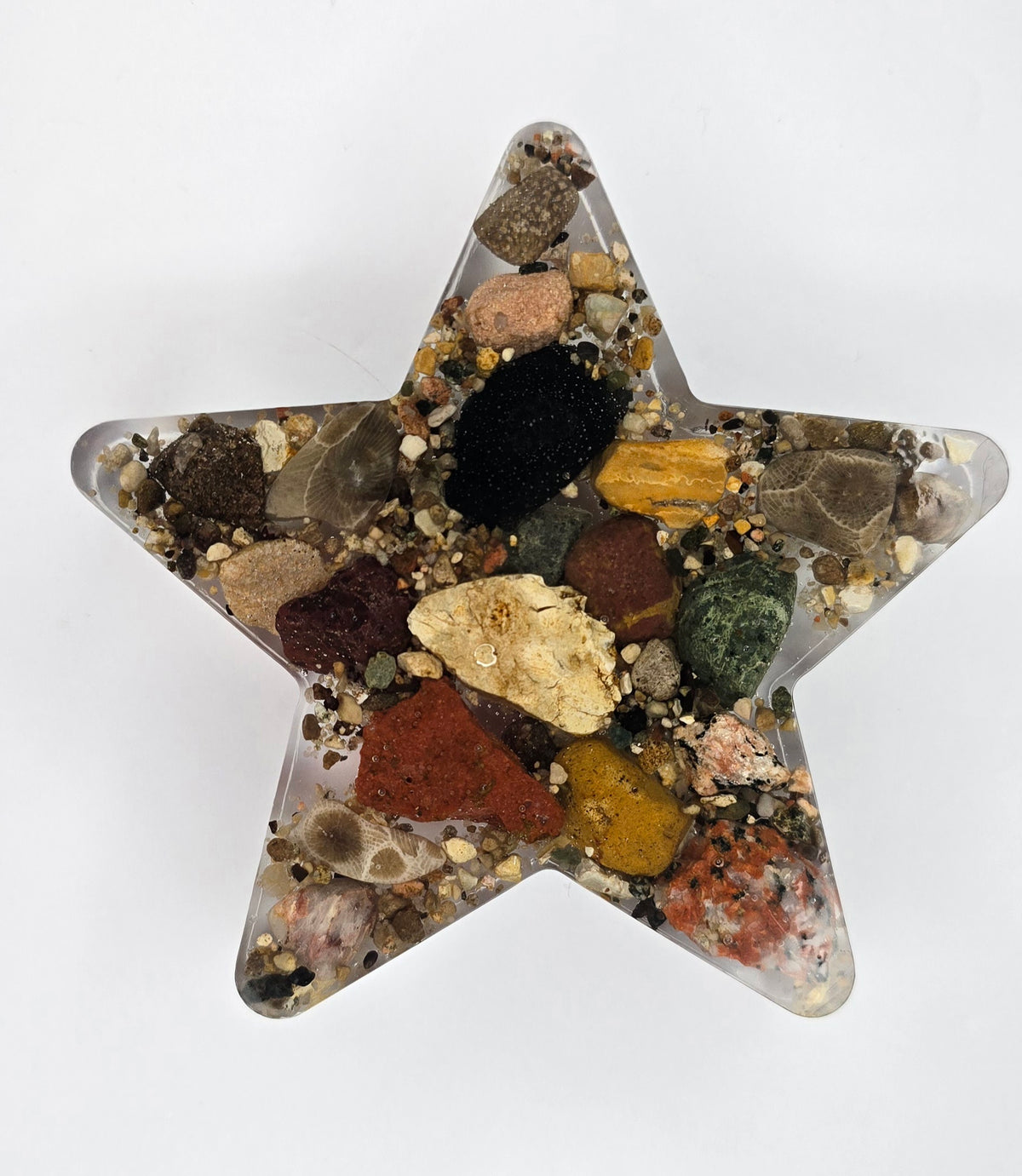 Large rock collection star with Petoskey stone