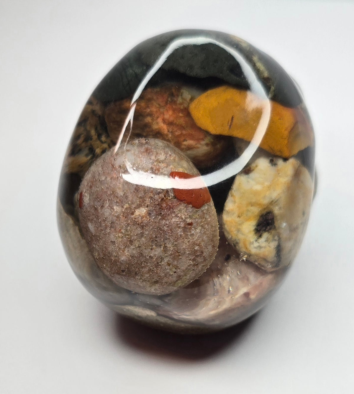 Rock collection skull with pudding stone