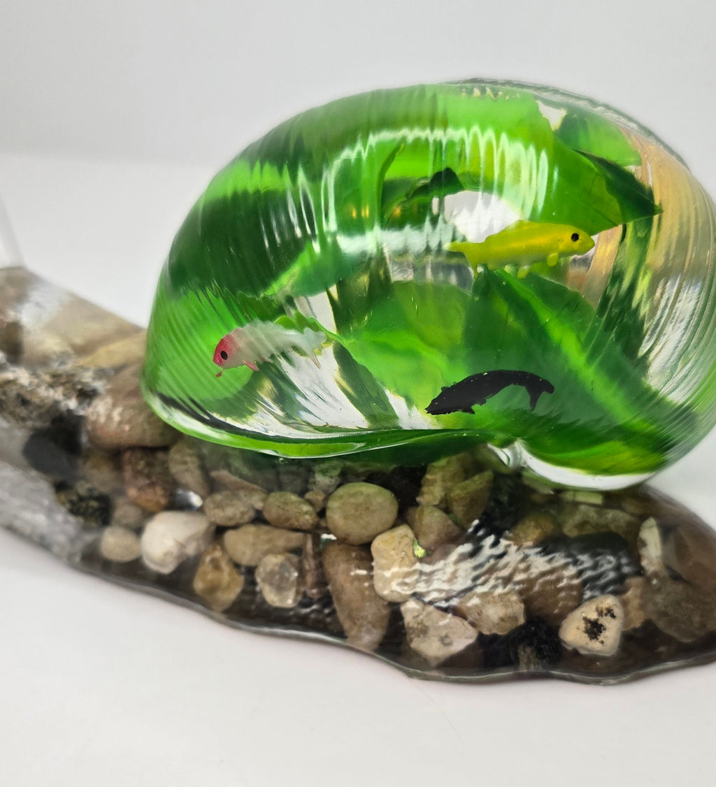 Large fish aquarium SNAIL with Michigan rocks & Petoskey stone