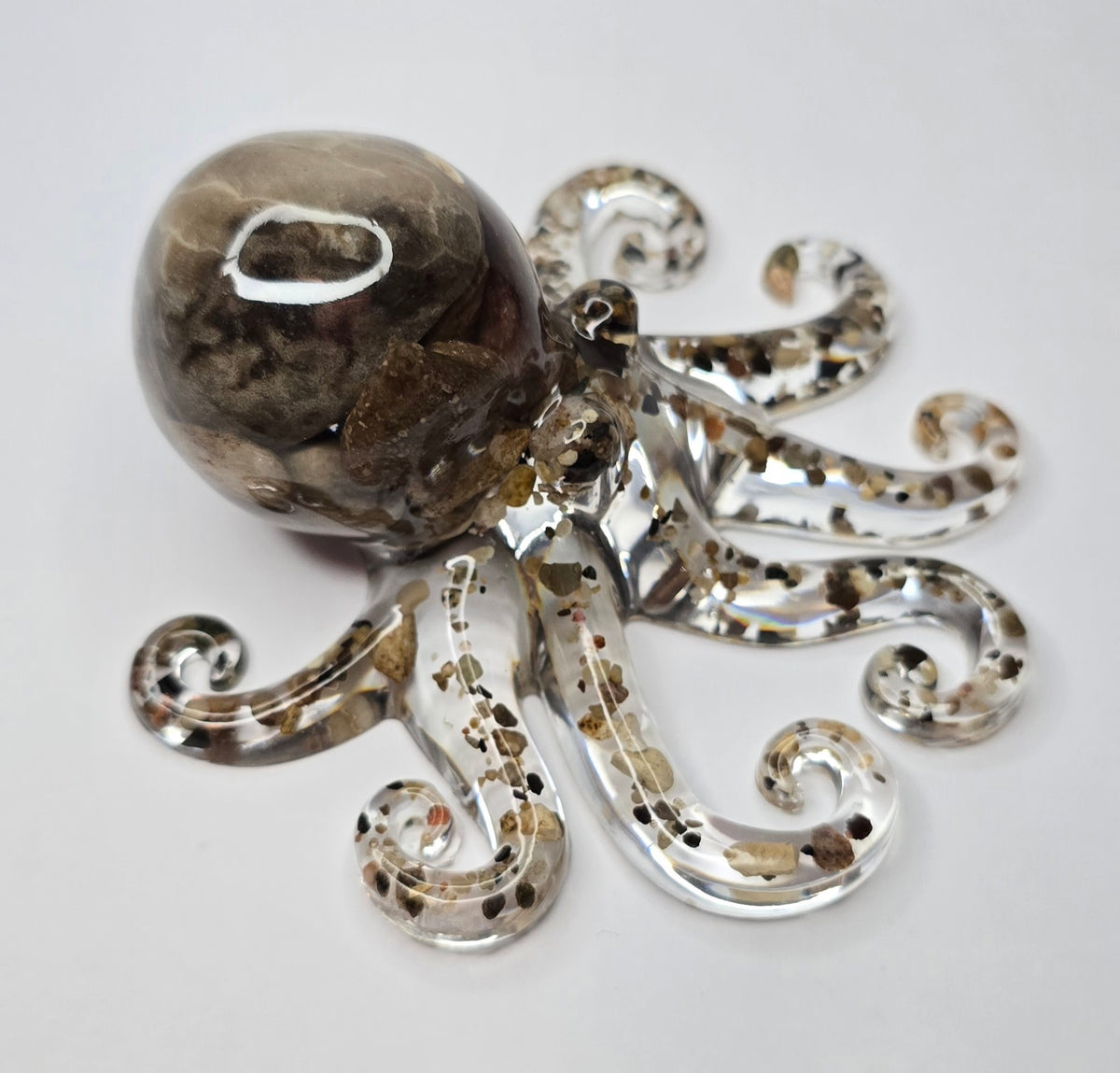 Rock collection octopus with Petoskey stone