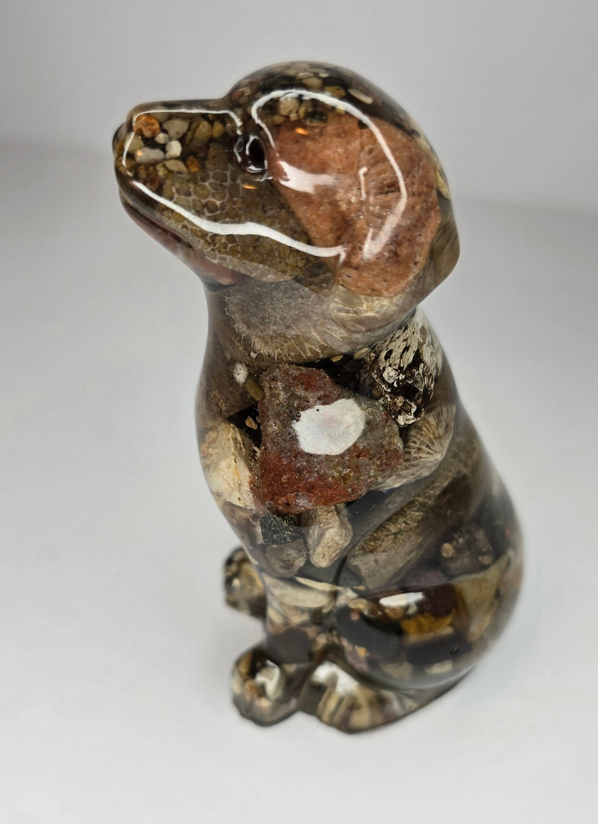 Rock collection DOG