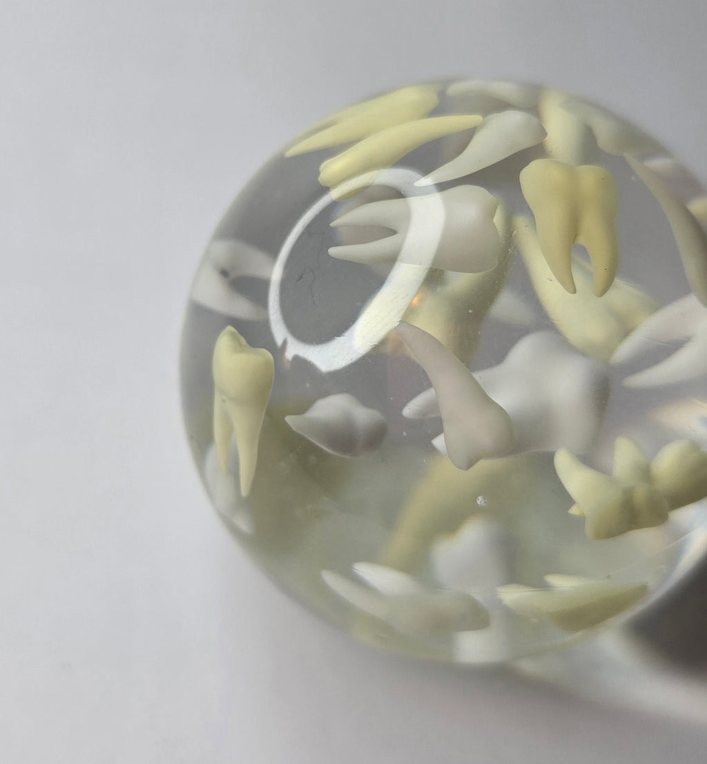 Tooth paperweight sphere