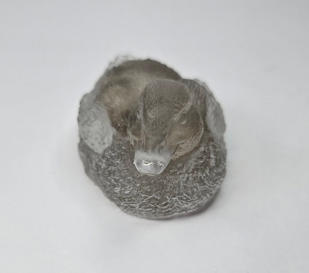 Michigan fossil duck