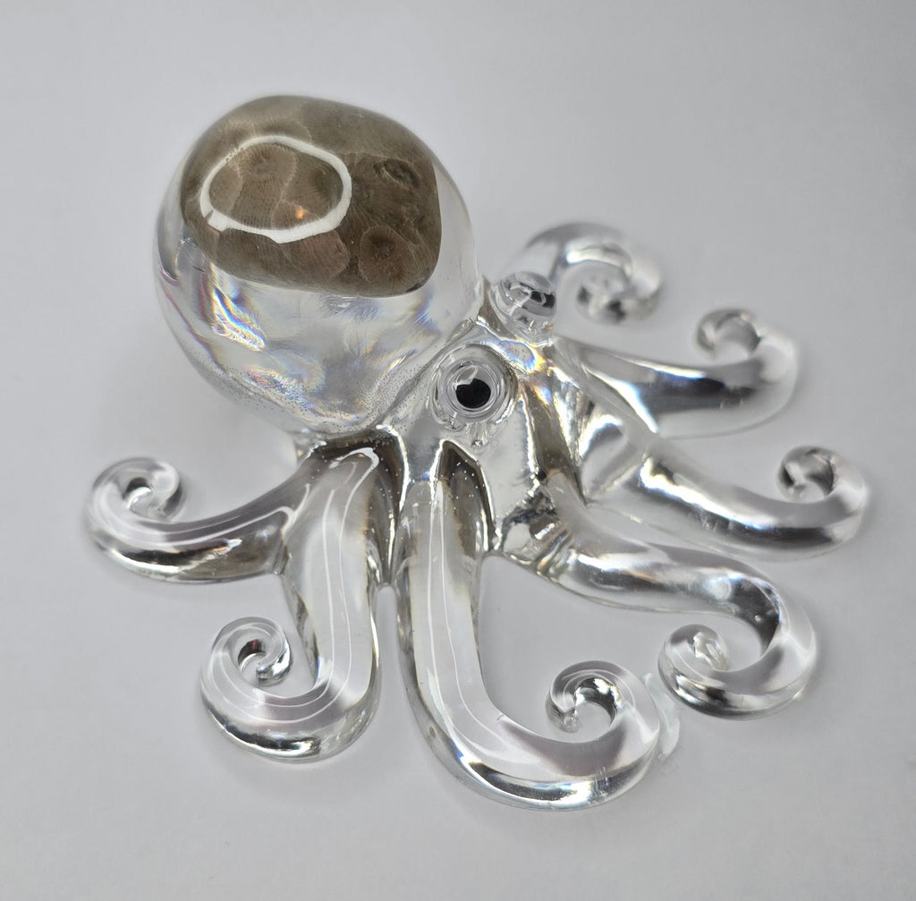 Petoskey stone octopus
