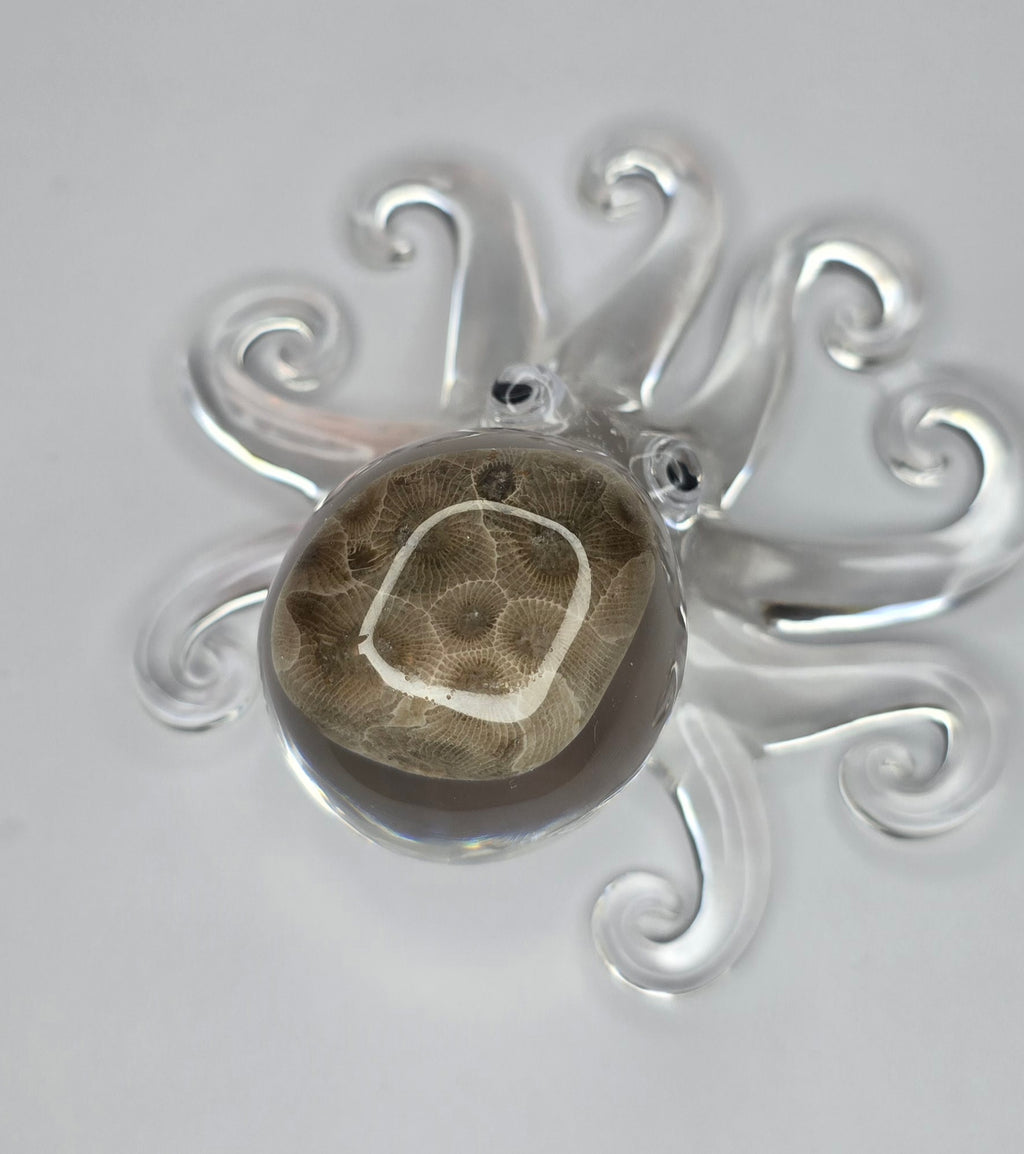 Petoskey stone octopus