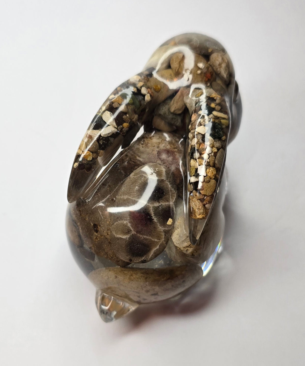 Rock collection bunny rabbit