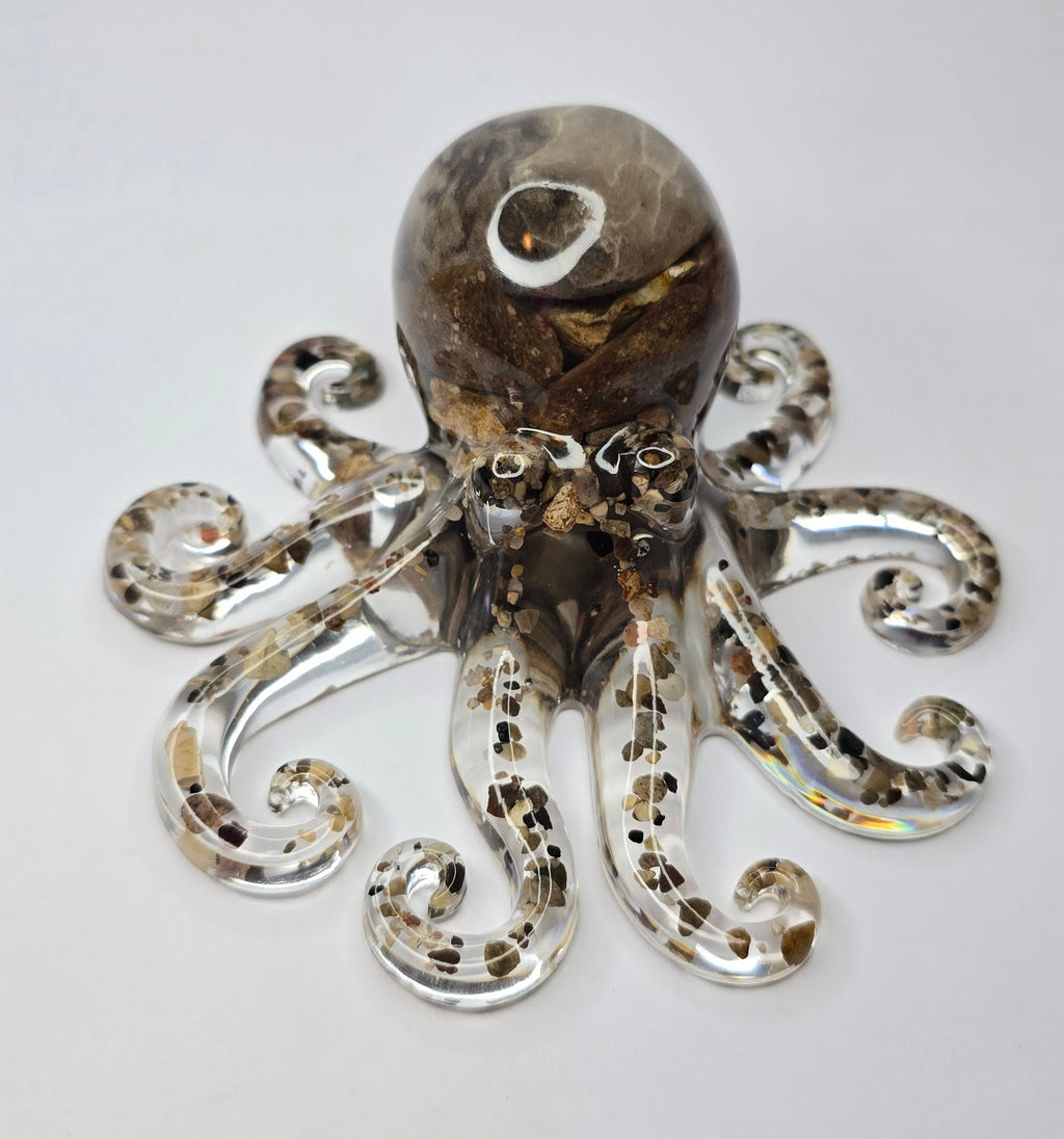 Rock collection octopus with Petoskey stone