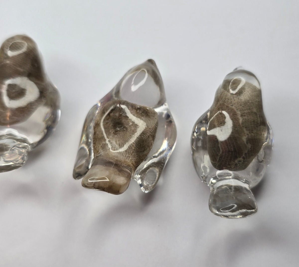 3 tiny Petoskey stone birds
