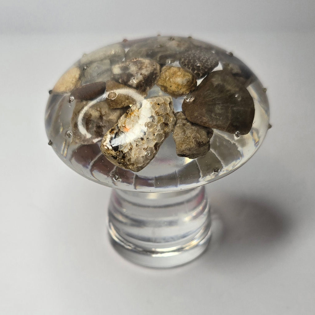 Tall rock collection mushroom