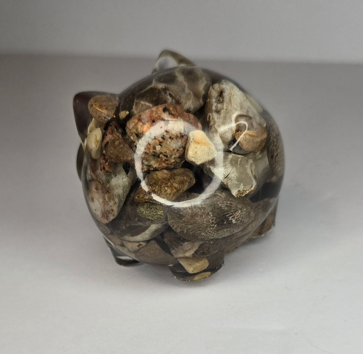 Rock collection PIG with Petoskey stone