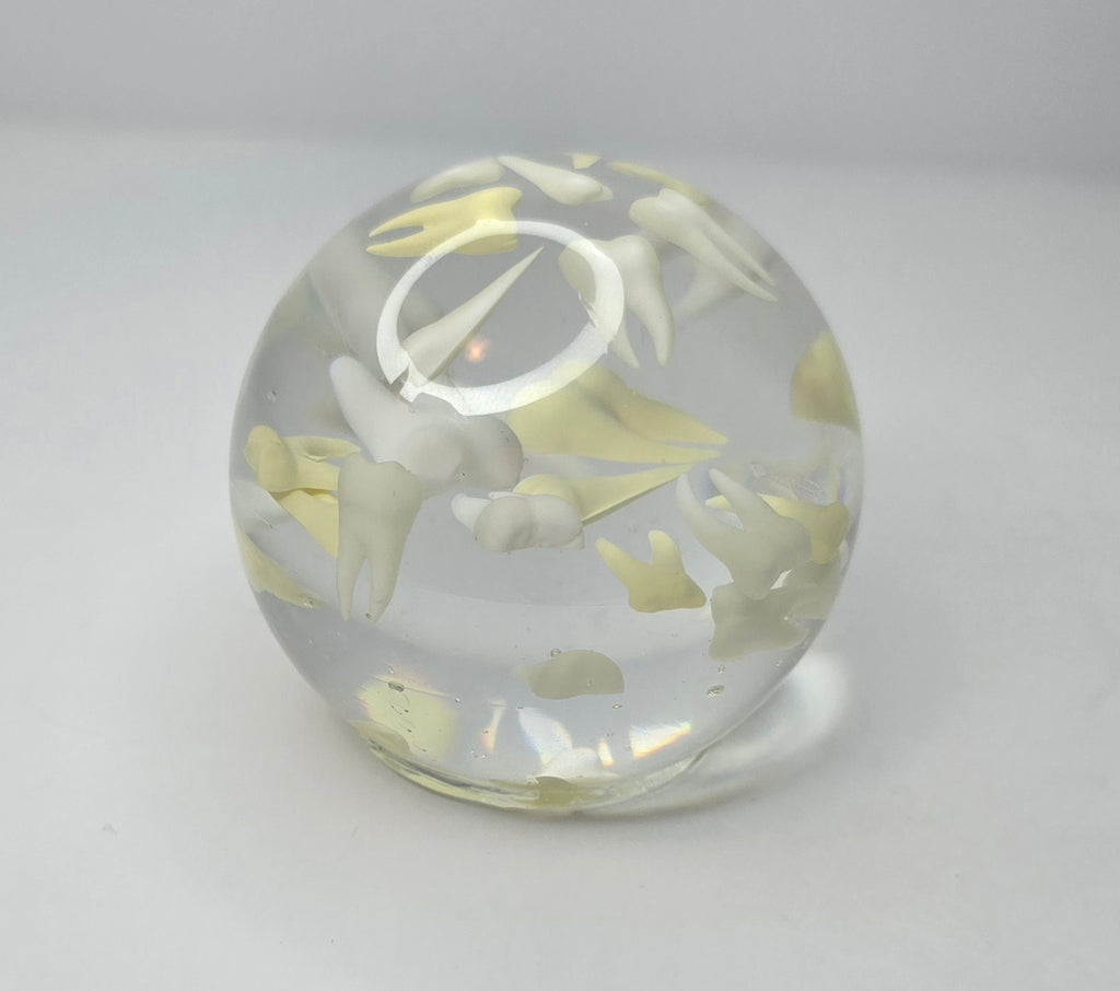 Tooth paperweight sphere