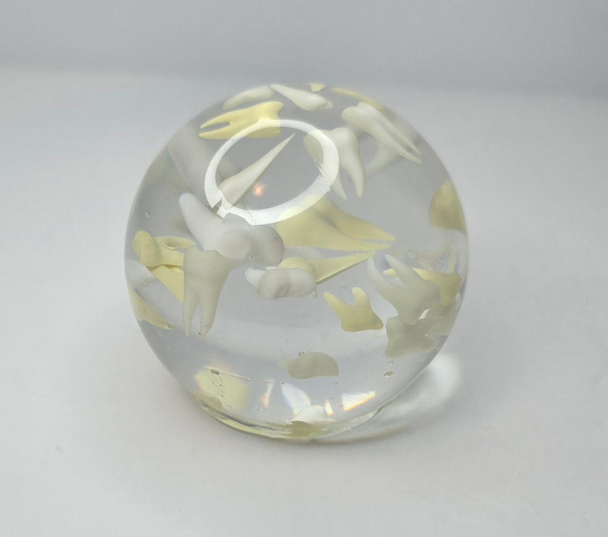 Tooth paperweight sphere