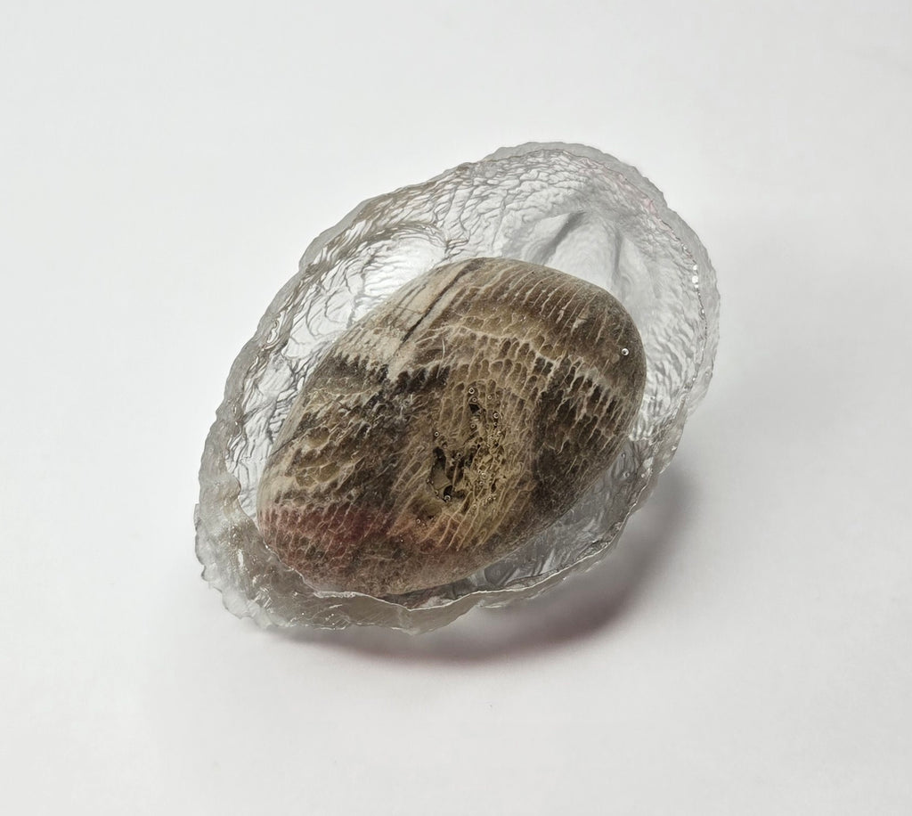 Michigan fossil duck