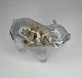 Petoskey stone pig FLAWED