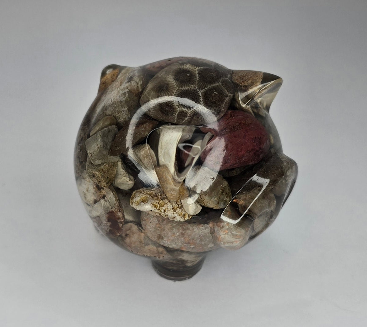 Rock collection PIG with Petoskey stone