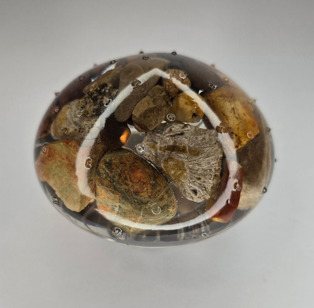 Short rock collection mushroom